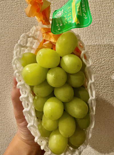 1116