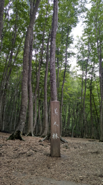 代助