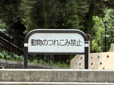 霜月