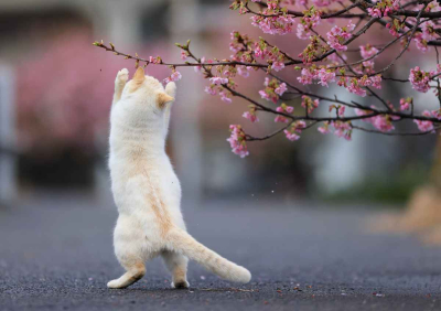 2923