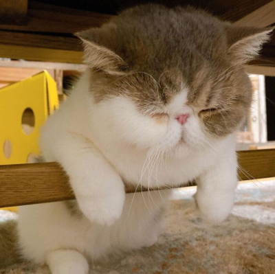2923