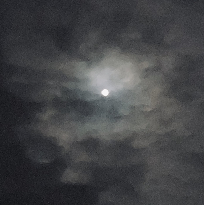 速水