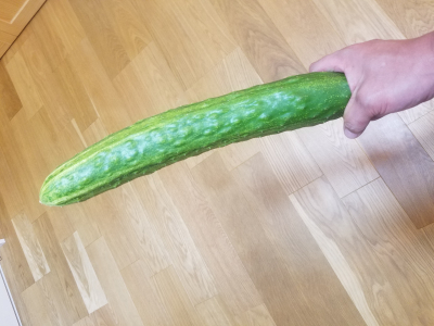 3876