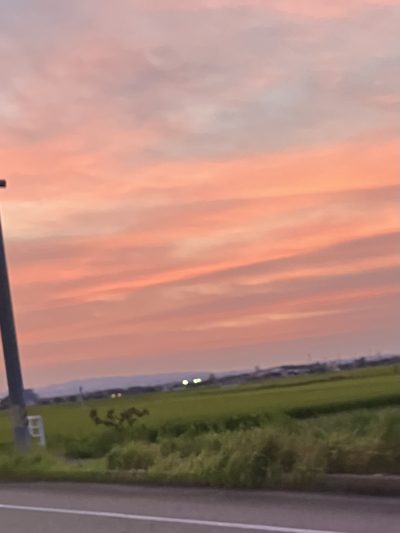 4231