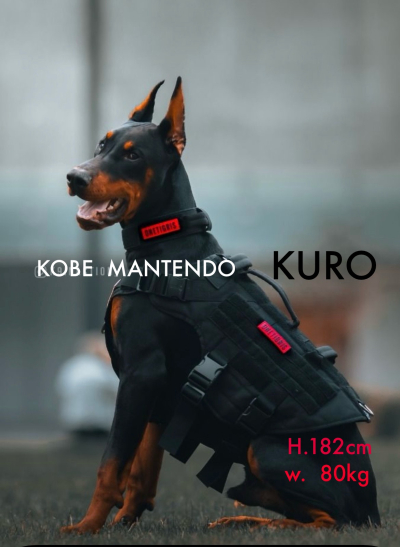 KURO