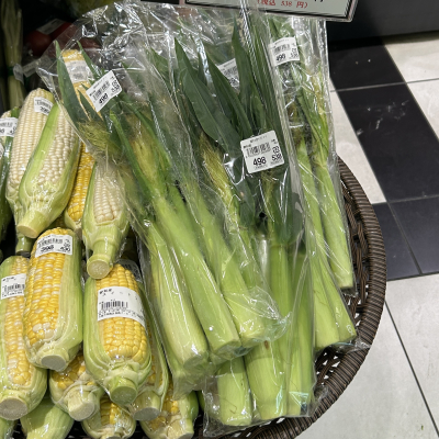 5191
