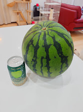 5419