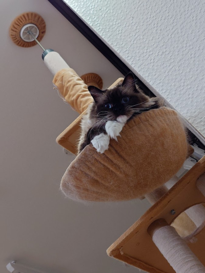 5419