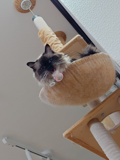5419