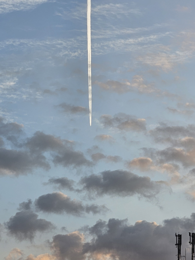5568