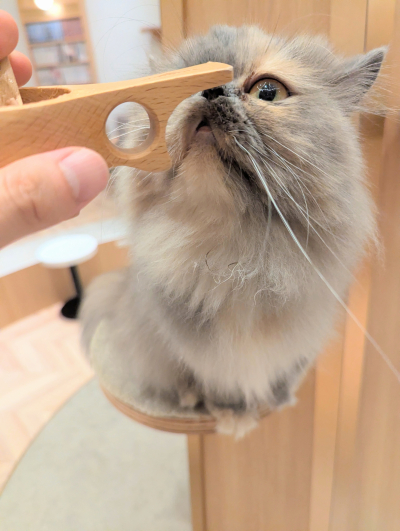 のぼるん