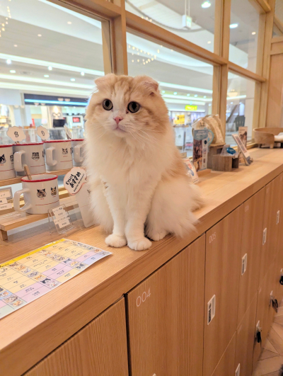 のぼるん