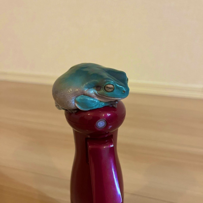 イチマル