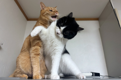 6221