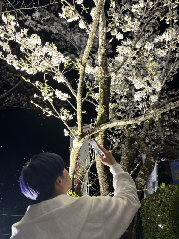 なるせ