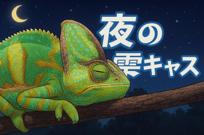 6464