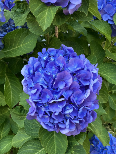 6708