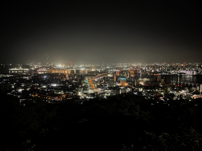 美波
