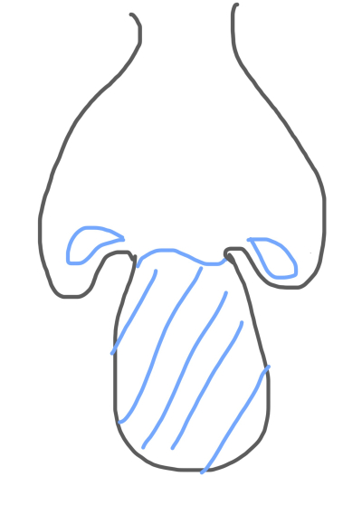 6800