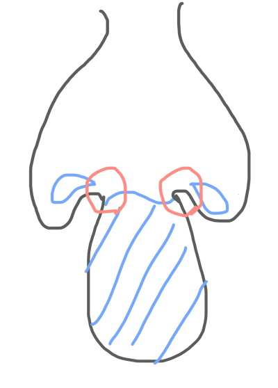 6800
