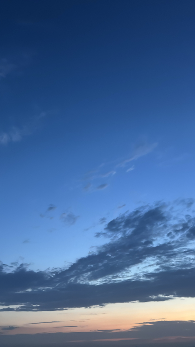 夕緋