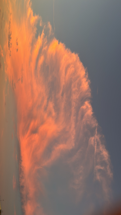 夕緋