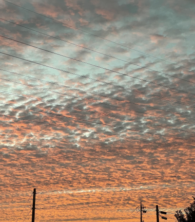 夕緋