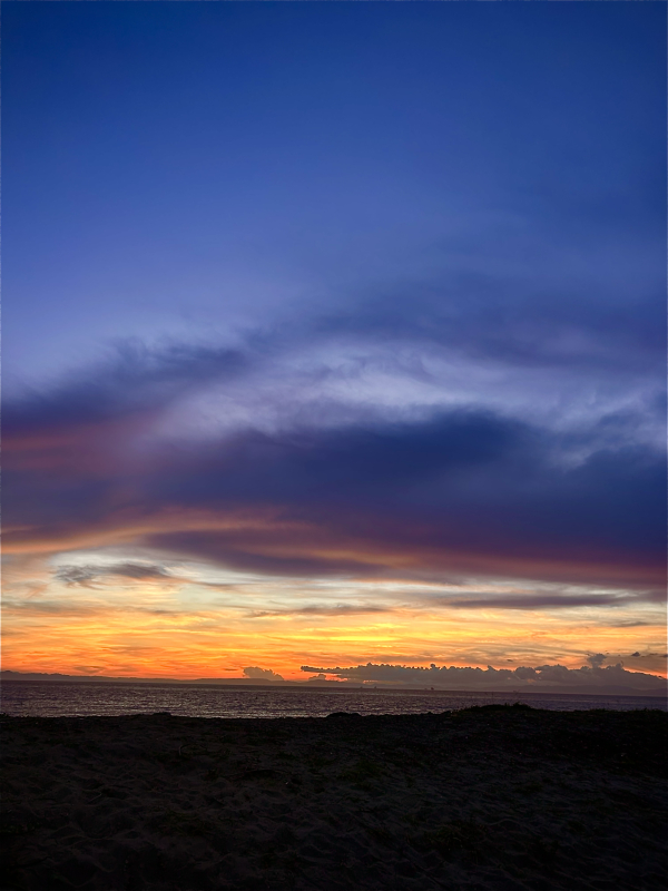 夕緋