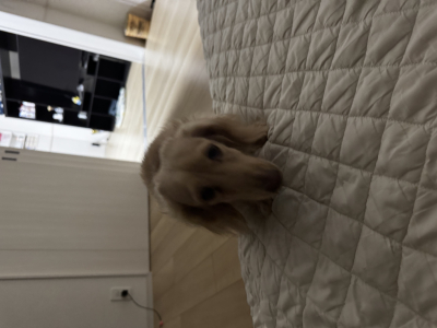 6813