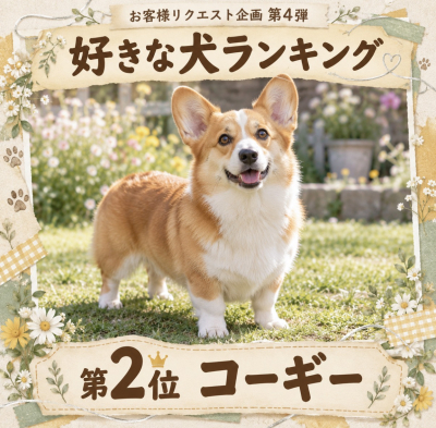 6813