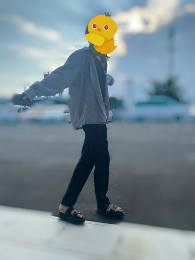 6833