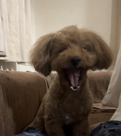 6834