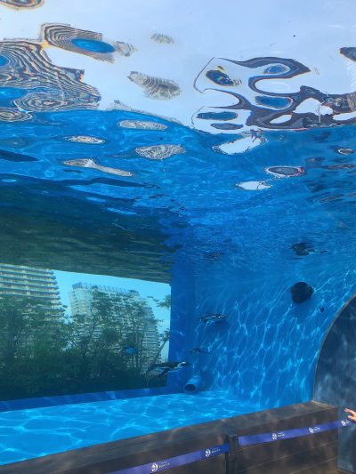 海翔