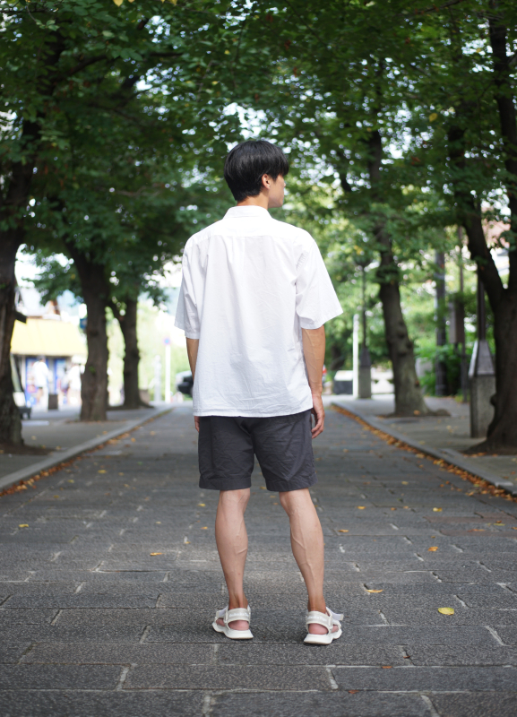 ハチ