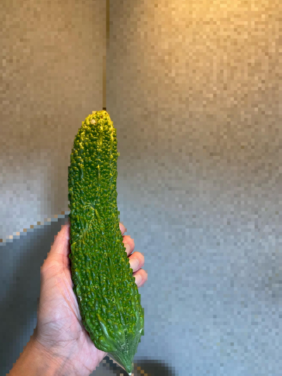 6868