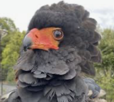 6955