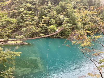 梨央