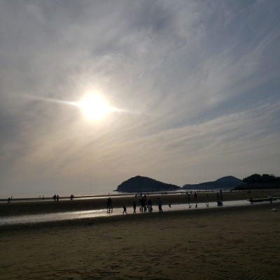 瞳