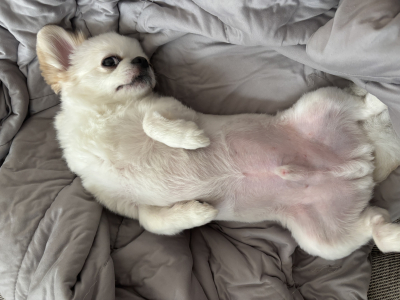 7040