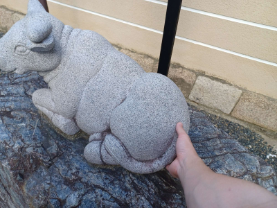 7056