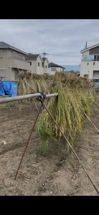 優作