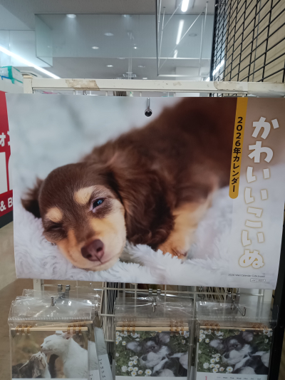 7098