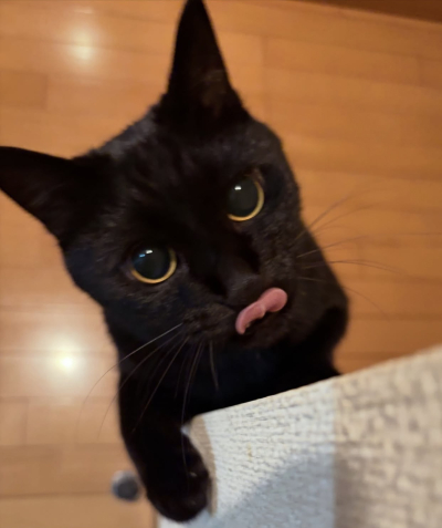 7374