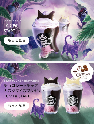 7667