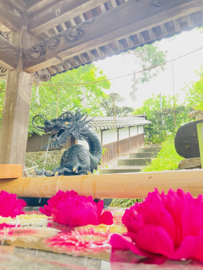 雅都