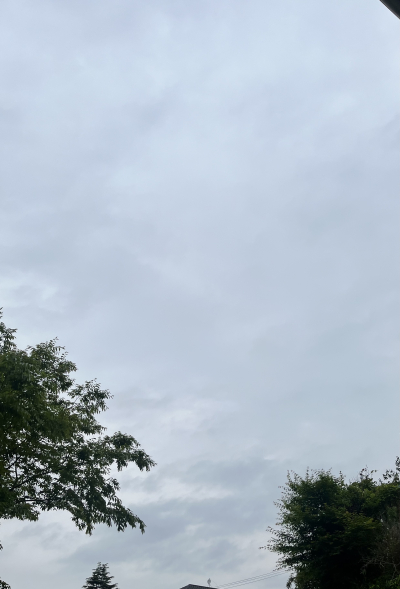 7811