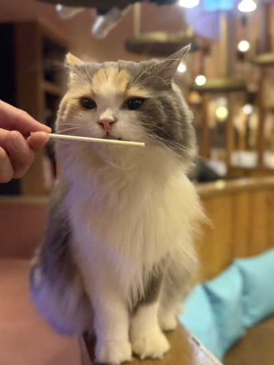 7926