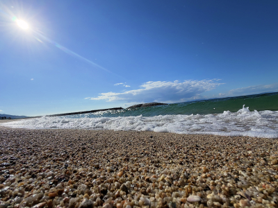 7950