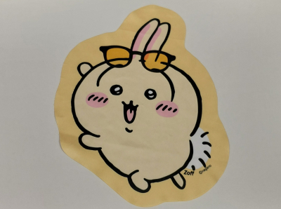 7955