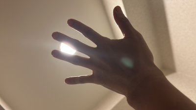 8015